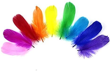 Разнообразни цветни перушини за тематични партита и декорации, подходящи за всяка празнична обстановка.